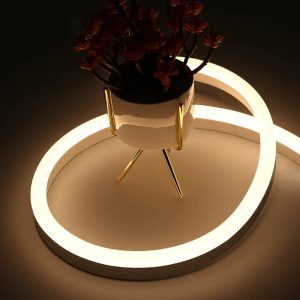 Warm White Neon Flex DC 12V IP65 Waterproof 8x16mm 120 LEDs/M Full Kit